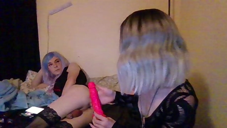 chastity_sissy_and_misstress  28-12-2021